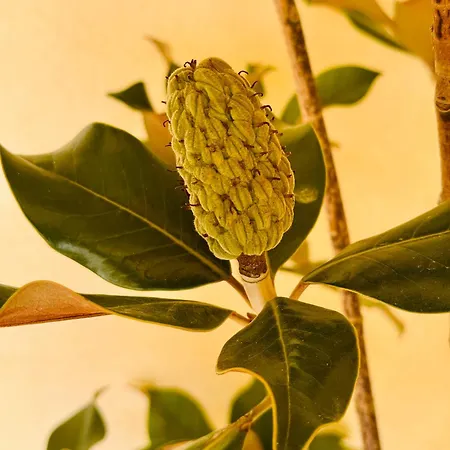 Casa Villaflamenca * Segovia
